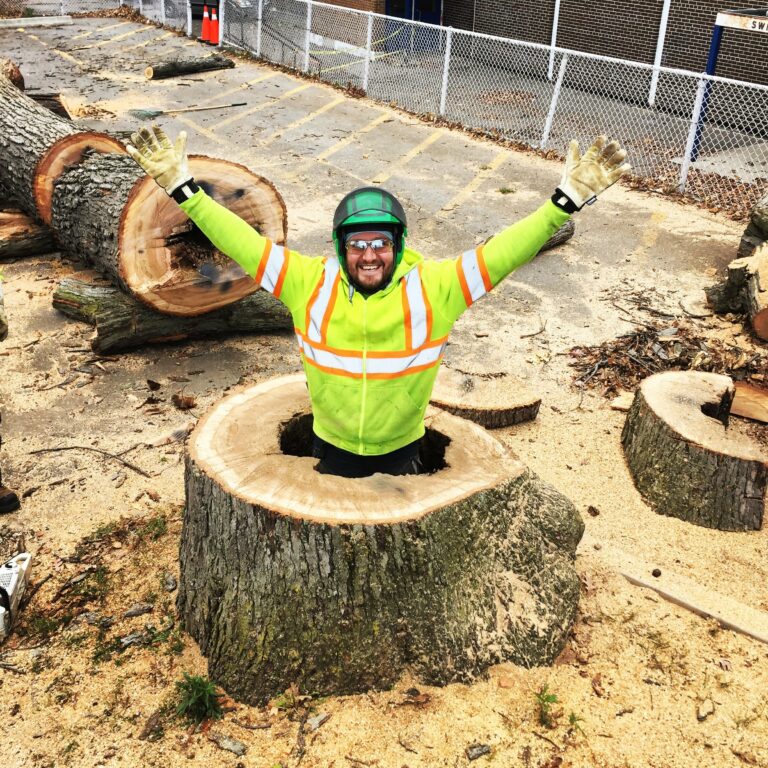 An Evergreen Tree Care employee strikes a pose inside a tree stump
