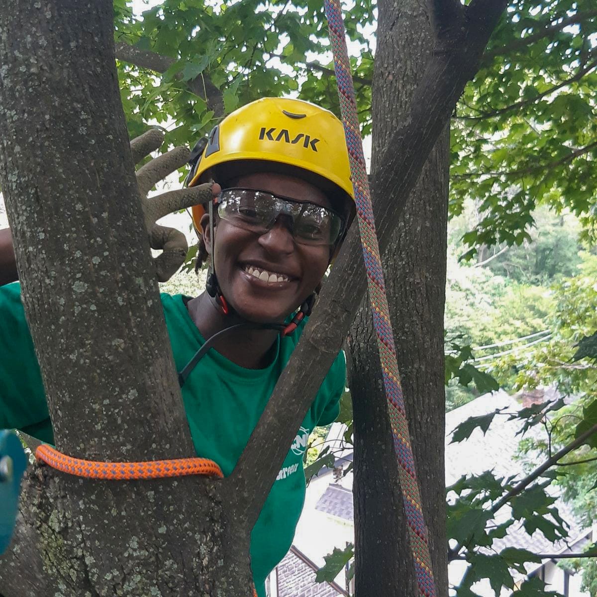 About Us Evergreen Tree Care About us evergreen tree care